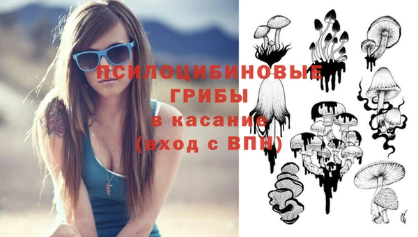 прущая мука Армянск