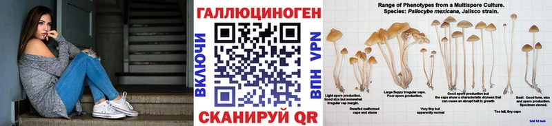 Галлюциногенные грибы Cubensis  наркотики  omg рабочий сайт  Порхов 